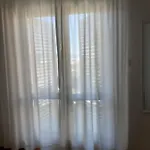 Palma *