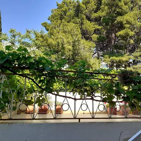 Palma Podgora (Split-Dalmatia)