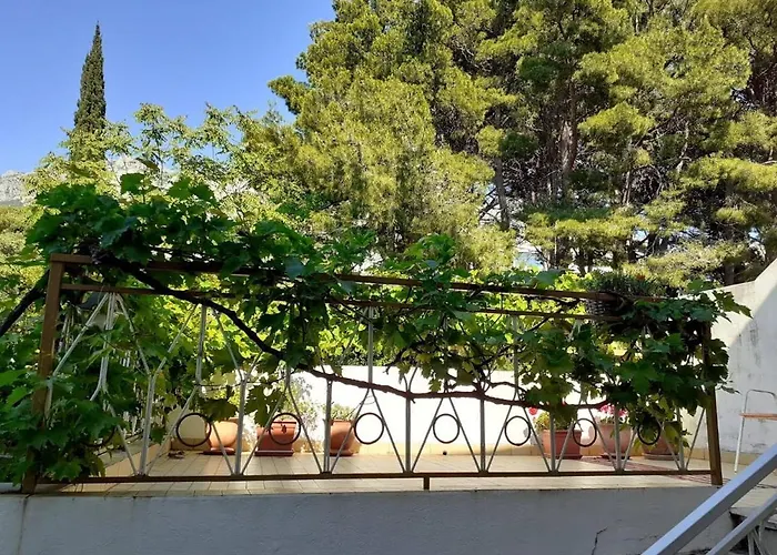 Palma Podgora (Split-Dalmatia)